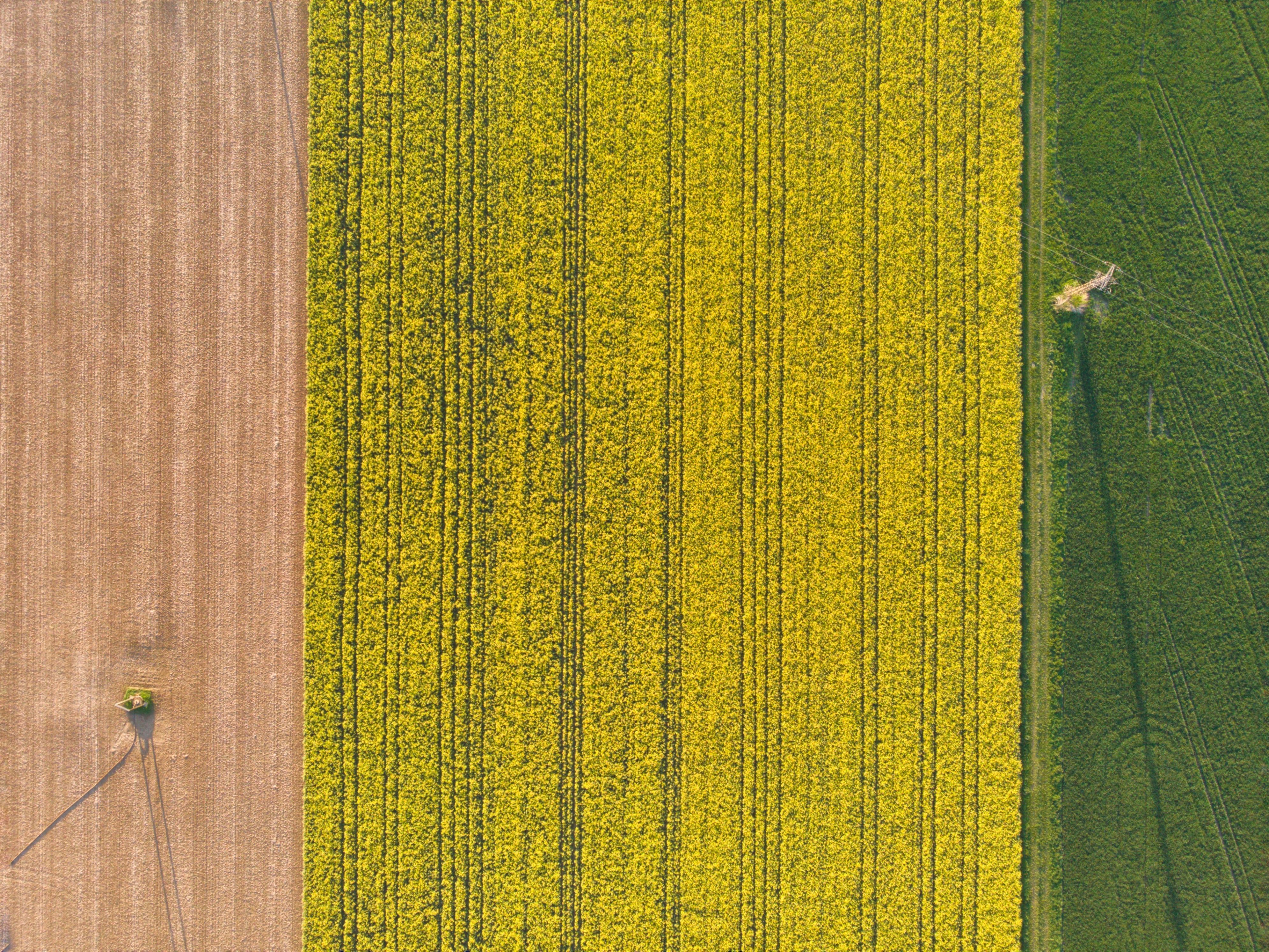 aerial photography untuk agrikultur aerial photography untuk agrikultur
